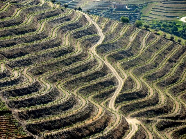 La Comisión publica la revisión de la simplificación del Reglamento de la UE contra la deforestación